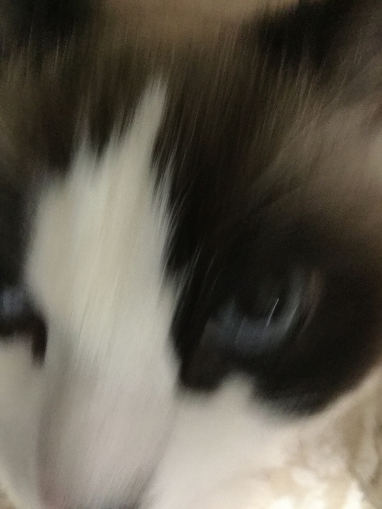 f:id:Hangetsu-Soichi:20170121214857j:plain f:id:Hangetsu-Soichi:20170121214857j:plain