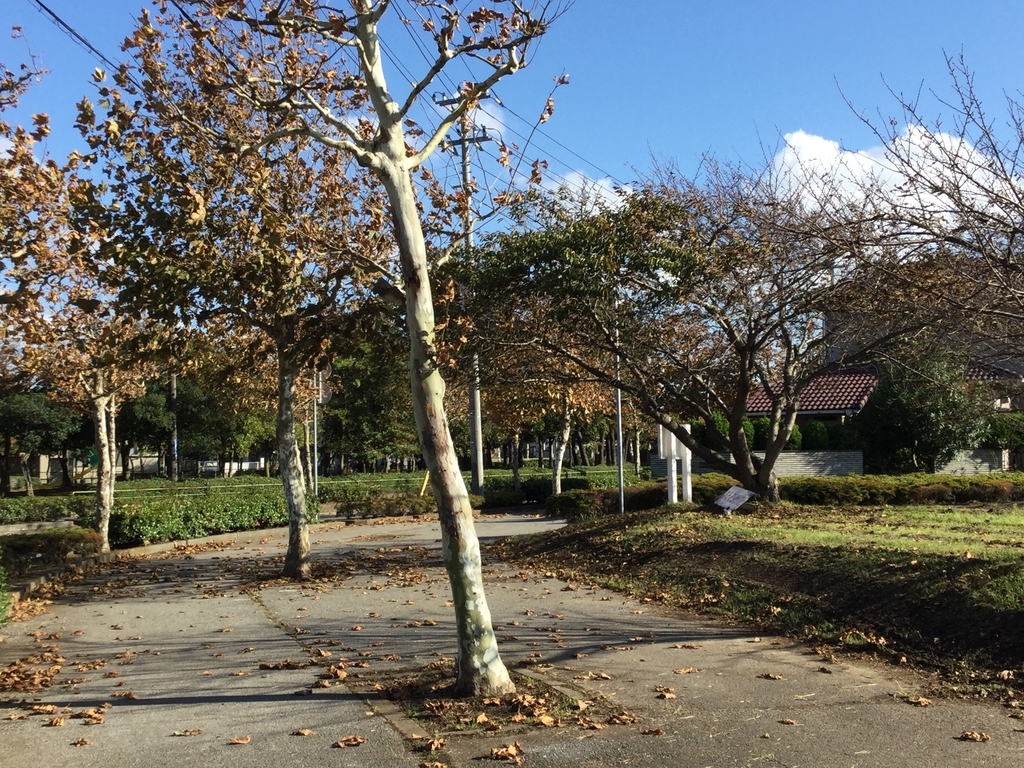 f:id:Hangetsu-Soichi:20181006145958j:plain