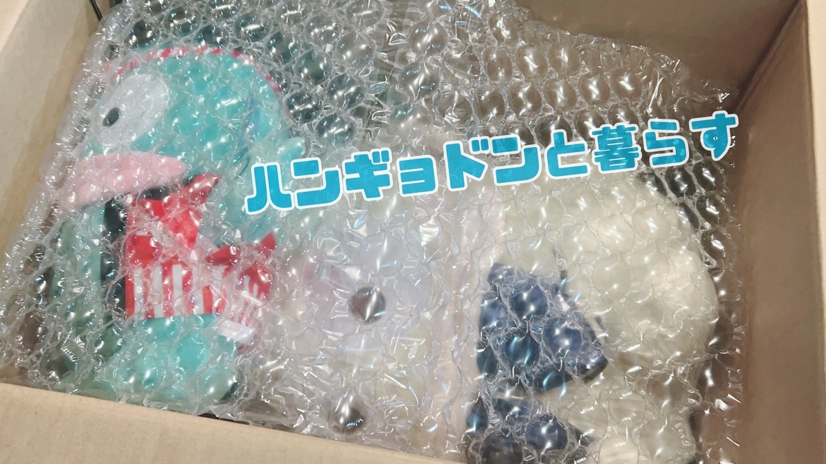 プライズ】我が家に大型新人がやって来た【ハンギョドングッズ