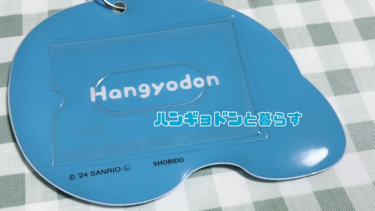 購入品】サンキューマートでお買い物①【ハンギョドン多め