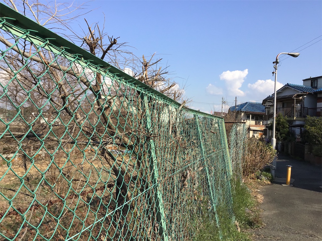 f:id:Hankai_Uemachi:20210216211036j:image