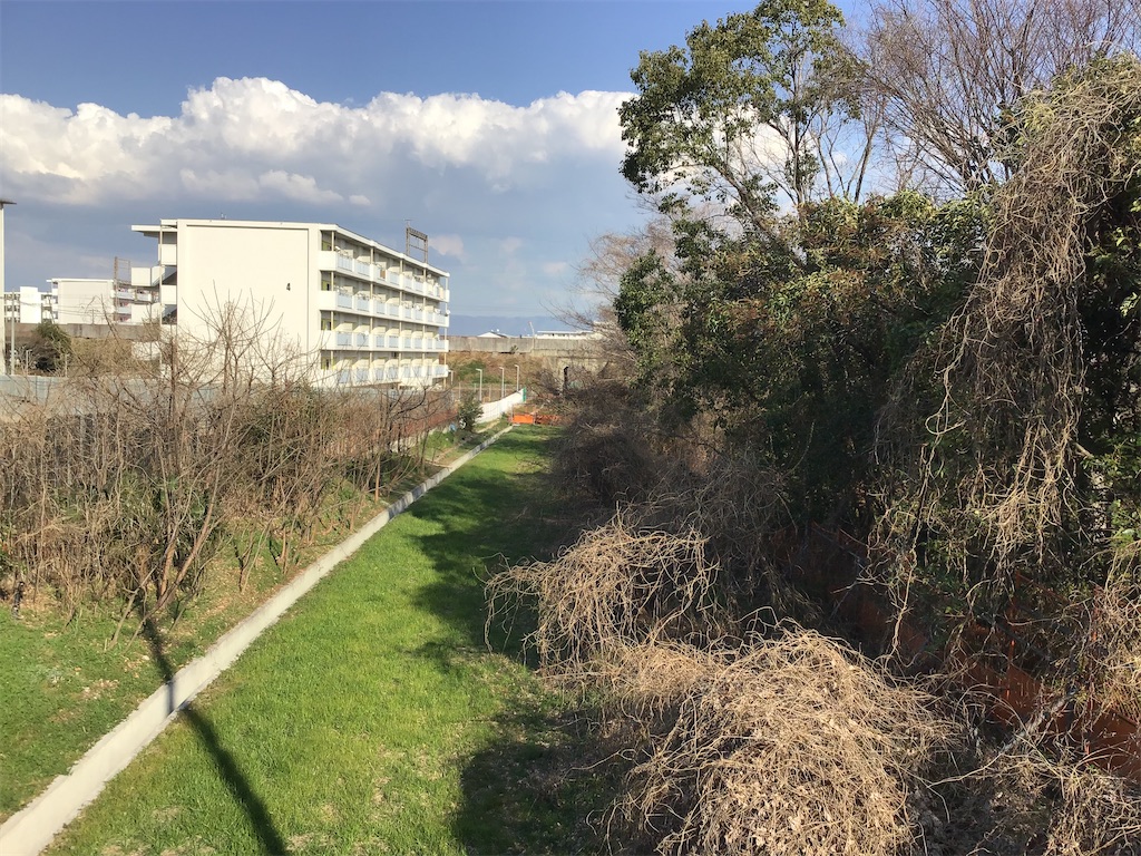 f:id:Hankai_Uemachi:20210216222916j:image