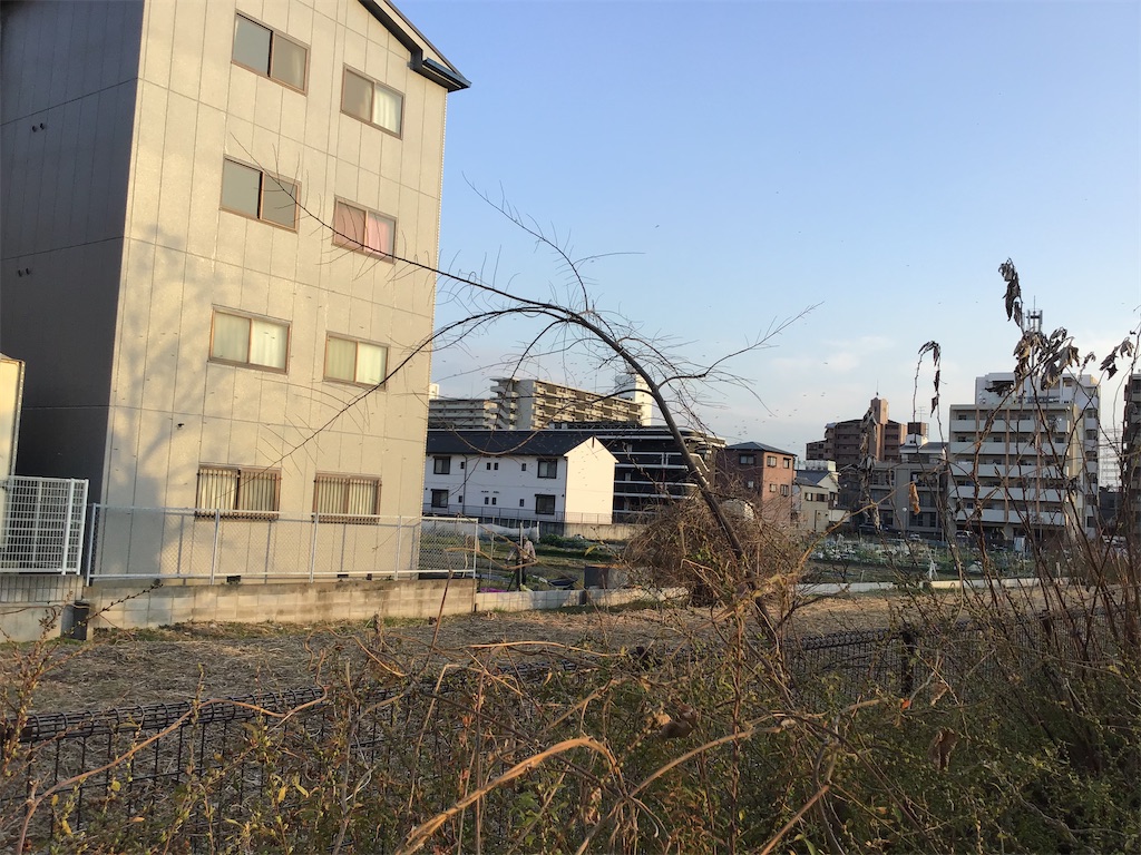 f:id:Hankai_Uemachi:20210217000003j:image