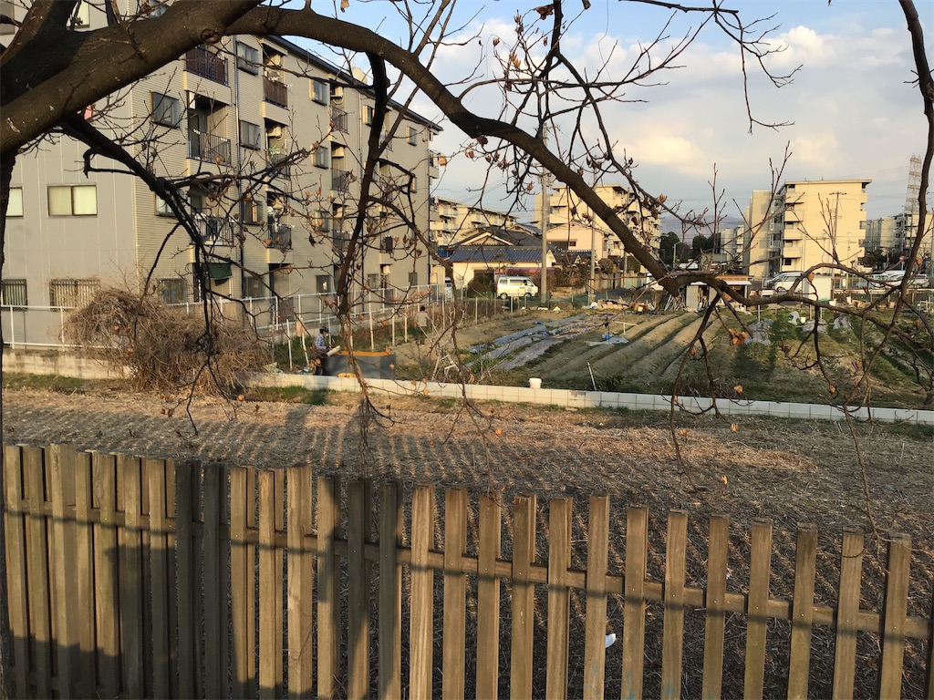 f:id:Hankai_Uemachi:20210217000007j:image