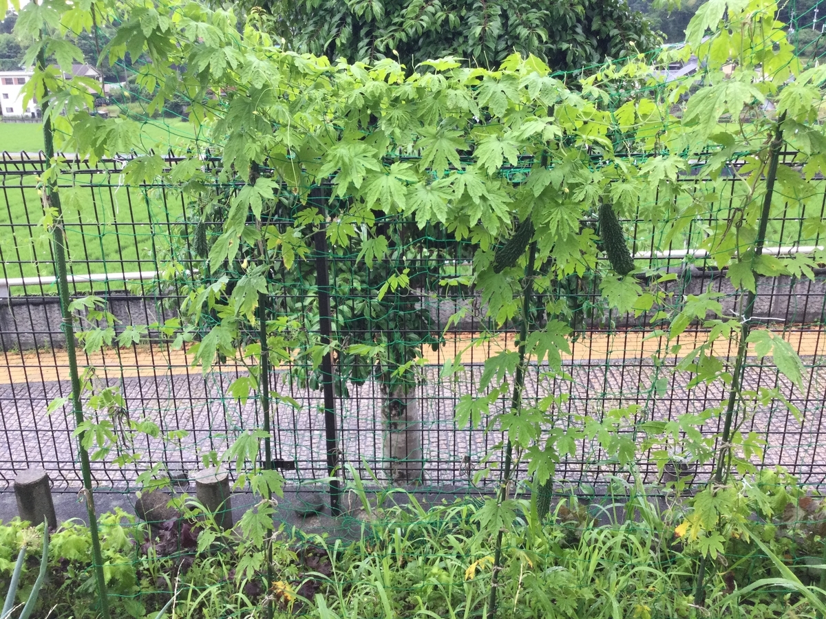 f:id:Hanryuu58:20210717161624j:plain
