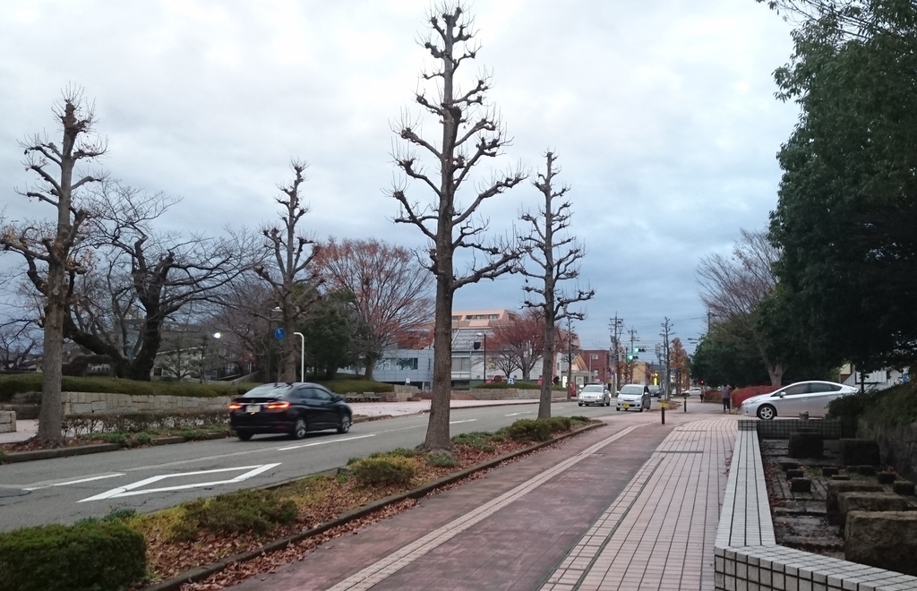f:id:HansPotter:20181204191815j:plain