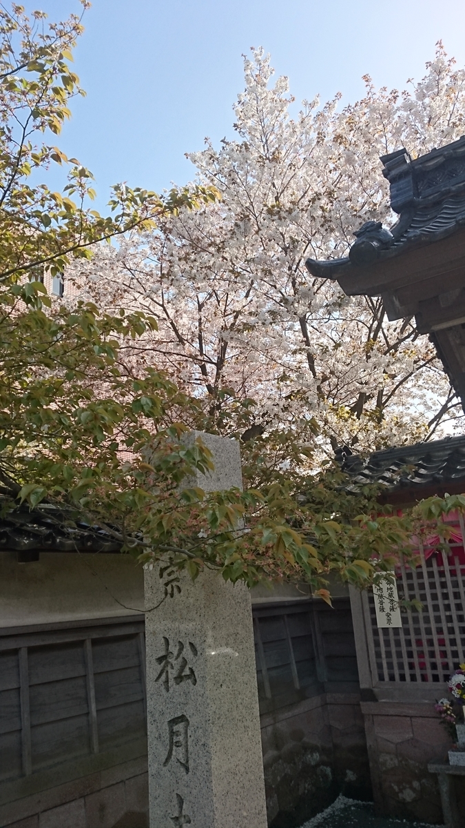 f:id:HansPotter:20190316221236j:plain