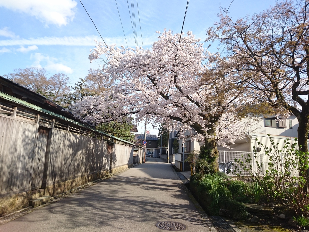 f:id:HansPotter:20190411224415j:plain