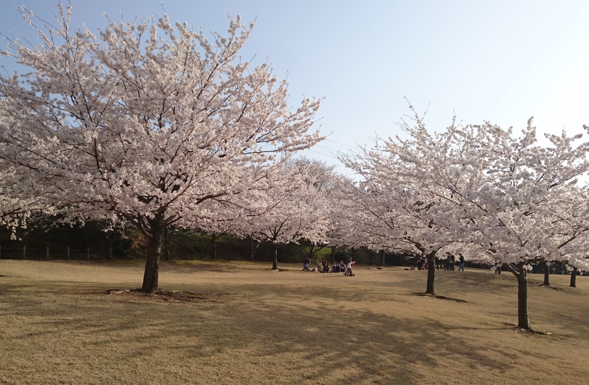 f:id:HansPotter:20190412101934j:plain
