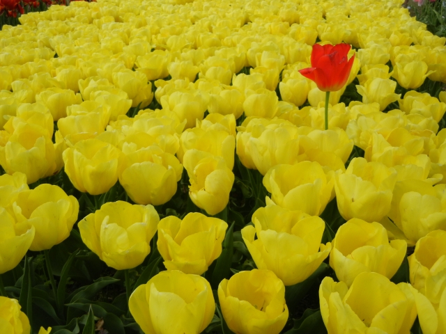 f:id:HansPotter:20190504223500j:plain f:id:HansPotter:20190504223500j:plain