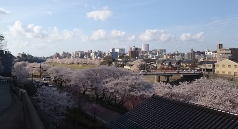 f:id:HansPotter:20190518150040j:plain f:id:HansPotter:20190518150040j:plain