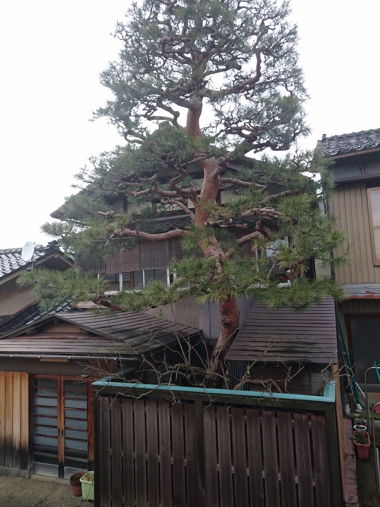 f:id:HansPotter:20190528152322j:plain
