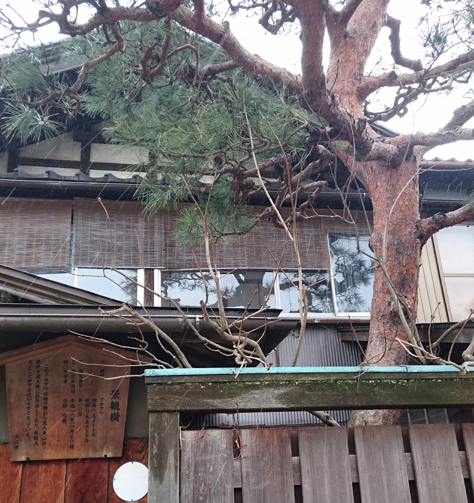 f:id:HansPotter:20190528152442j:plain