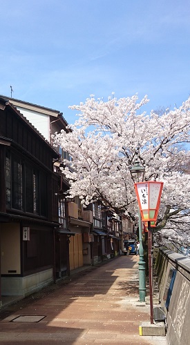 f:id:HansPotter:20190528153944j:plain
