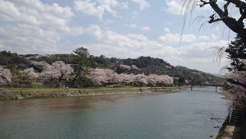 f:id:HansPotter:20190528154303j:plain