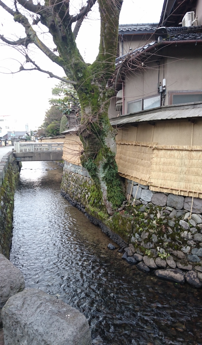 f:id:HansPotter:20190709181438j:plain