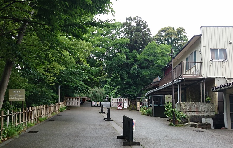 f:id:HansPotter:20190722222102j:plain