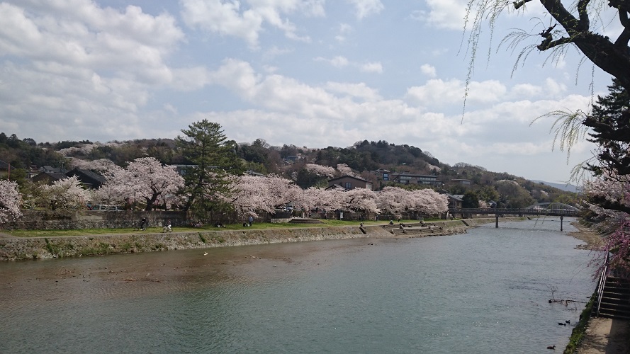 f:id:HansPotter:20190722230654j:plain
