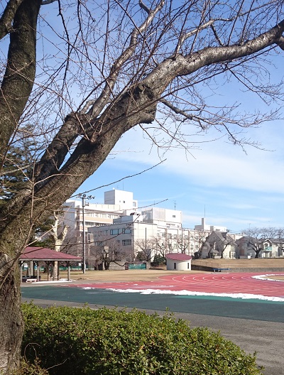 f:id:HansPotter:20190803165609j:plain