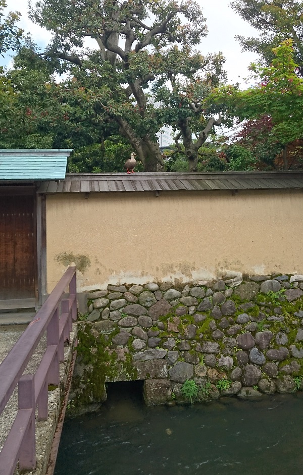 f:id:HansPotter:20191005230717j:plain