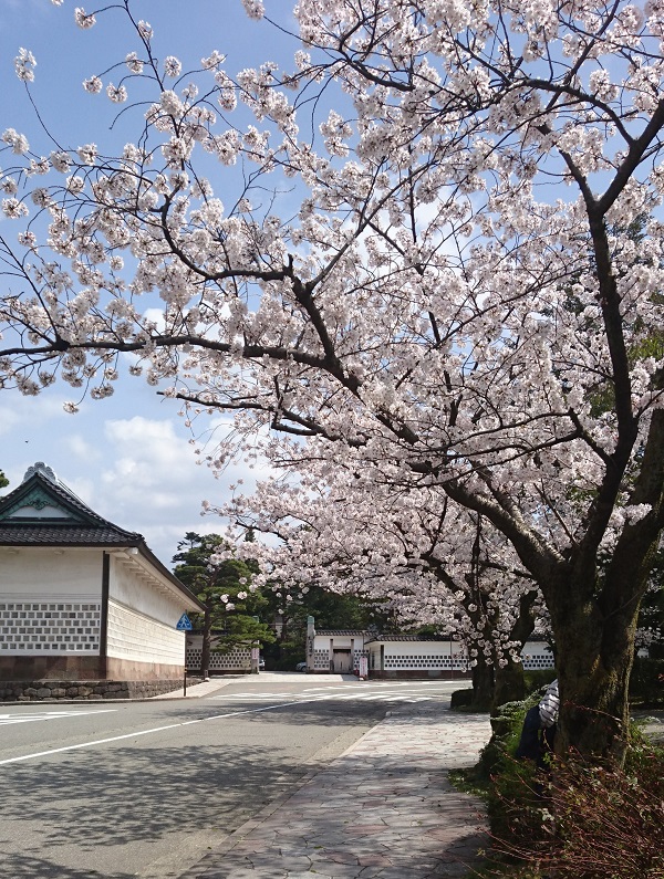 f:id:HansPotter:20191022181557j:plain f:id:HansPotter:20191022181557j:plain