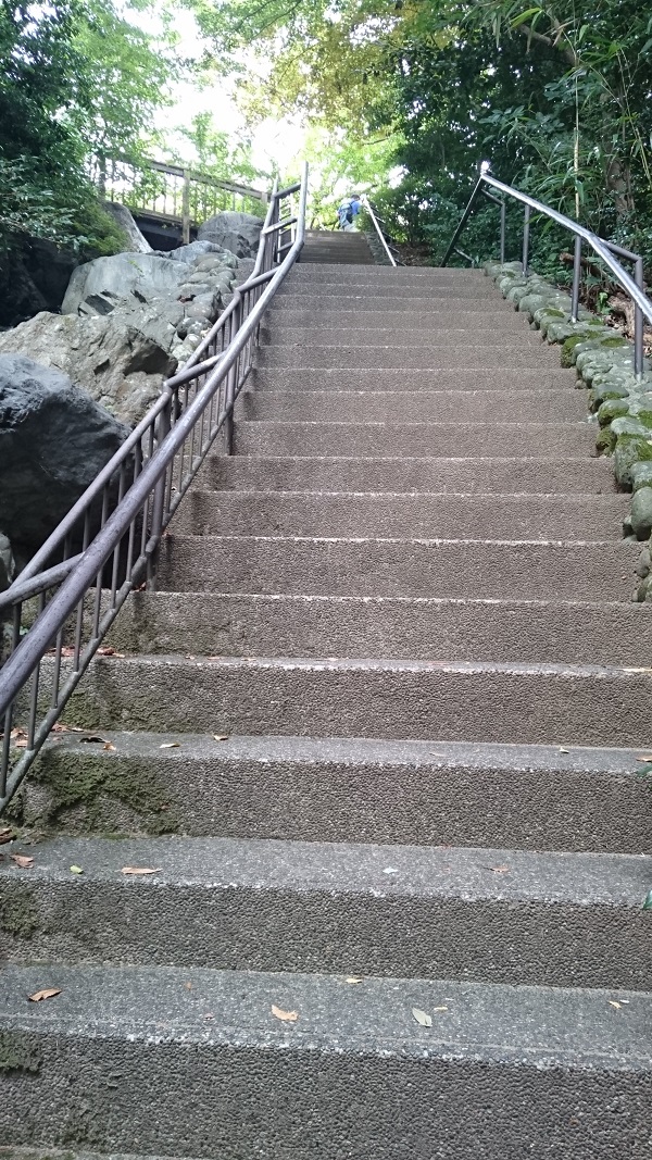 f:id:HansPotter:20191107220940j:plain
