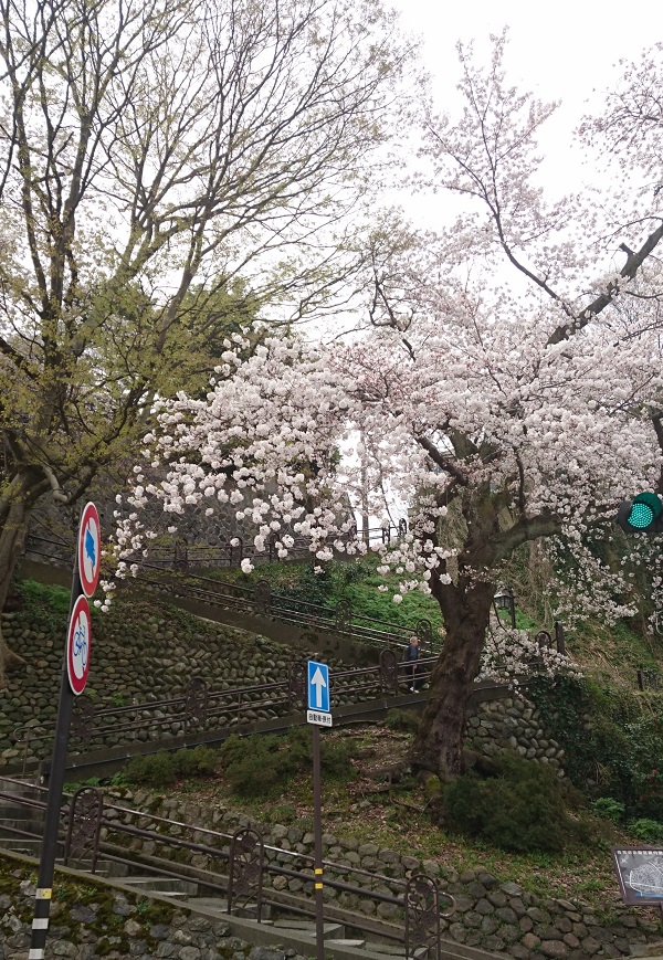 f:id:HansPotter:20191107222857j:plain