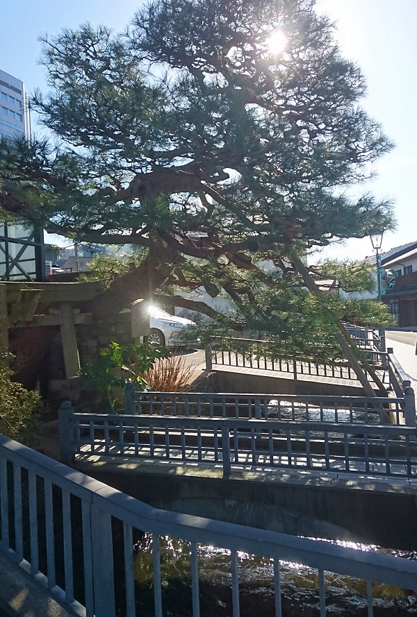 f:id:HansPotter:20191115193225j:plain f:id:HansPotter:20191115193225j:plain