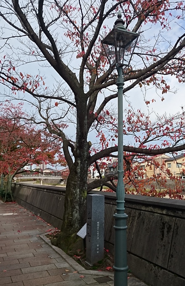 f:id:HansPotter:20191119130629j:plain