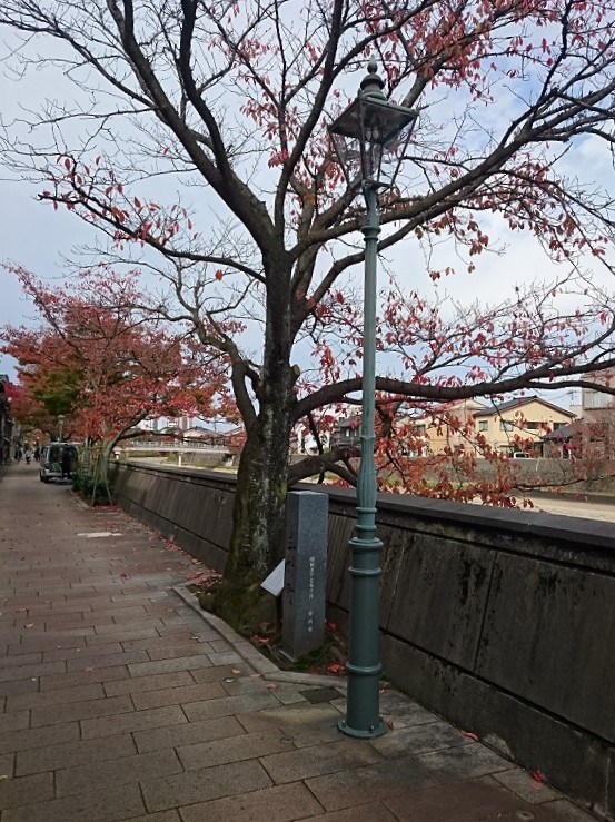 f:id:HansPotter:20191130192156j:plain