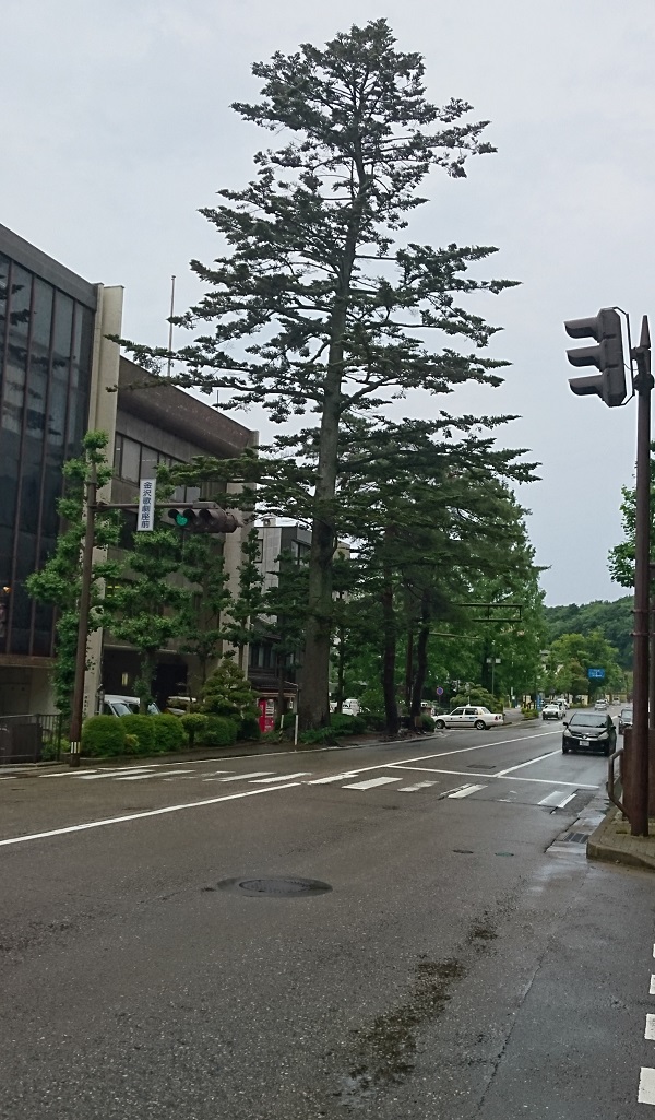 f:id:HansPotter:20191215195510j:plain