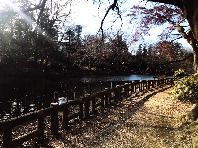 f:id:HansPotter:20201002115220j:plain