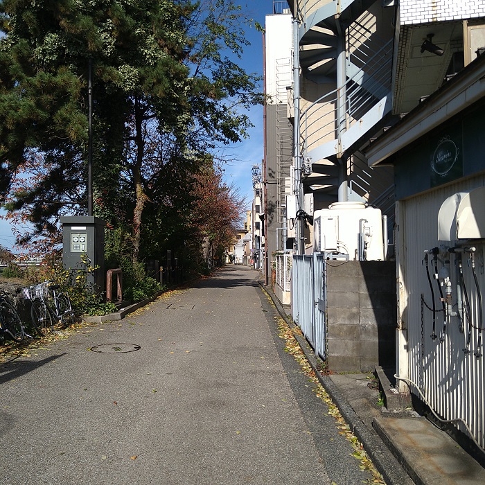 f:id:HansPotter:20201123193020j:plain