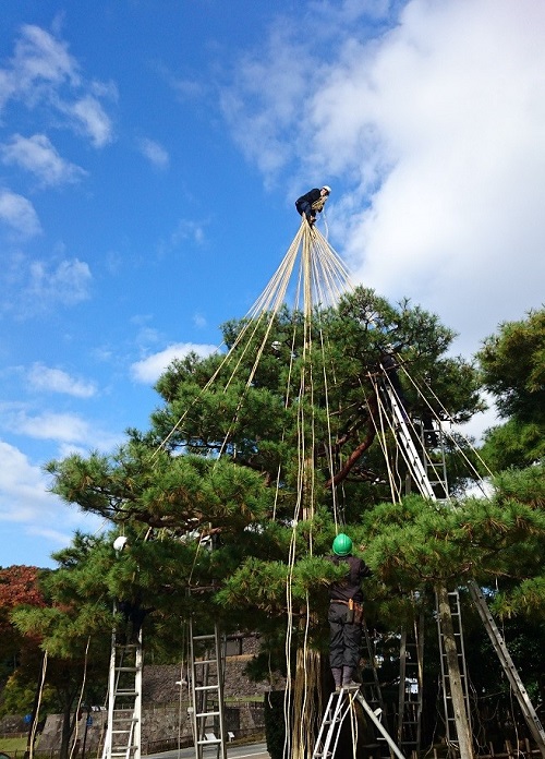 f:id:HansPotter:20211130200913j:plain