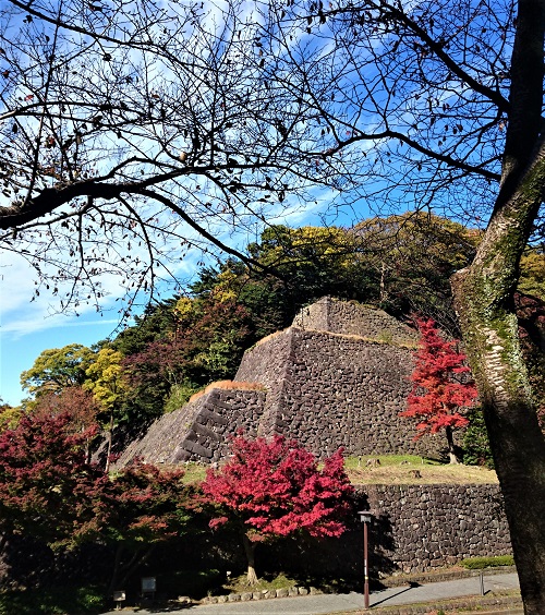 f:id:HansPotter:20211130201022j:plain