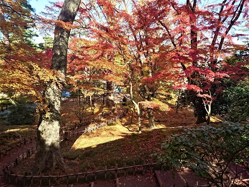 f:id:HansPotter:20211130203338j:plain