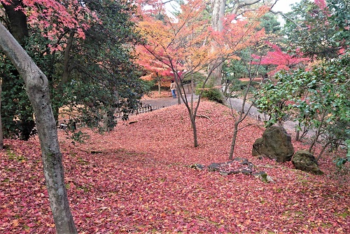 f:id:HansPotter:20211130203352j:plain