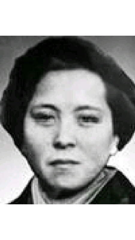 f:id:Hanzoandmozu:20181229185901j:plain f:id:Hanzoandmozu:20181229185901j:plain