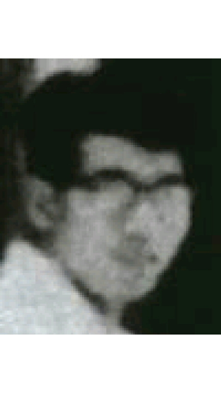 f:id:Hanzoandmozu:20190118122524j:plain