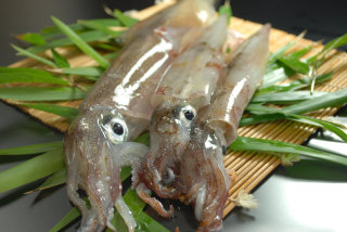 f:id:Hanzoandmozu:20190730063936j:plain