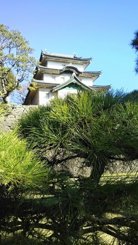 f:id:Hanzoandmozu:20191201173903j:plain f:id:Hanzoandmozu:20191201173903j:plain