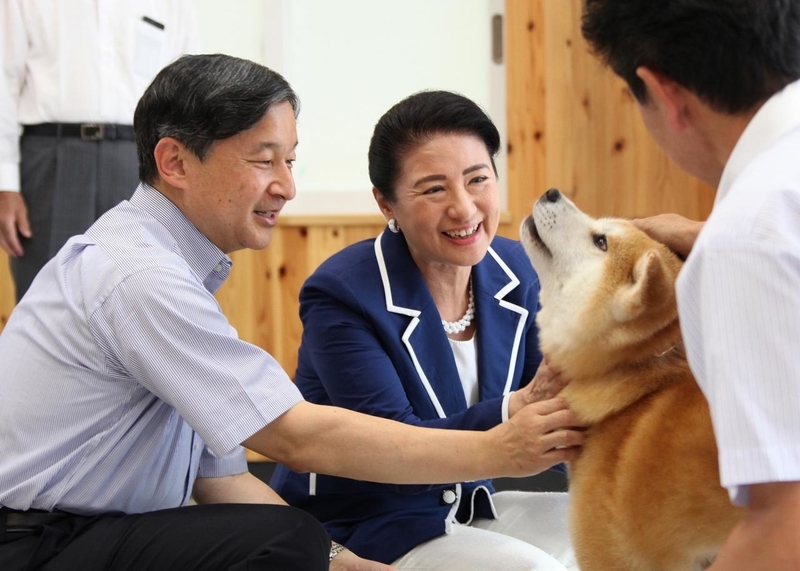 f:id:Hanzoandmozu:20201005075216j:plain f:id:Hanzoandmozu:20201005075216j:plain