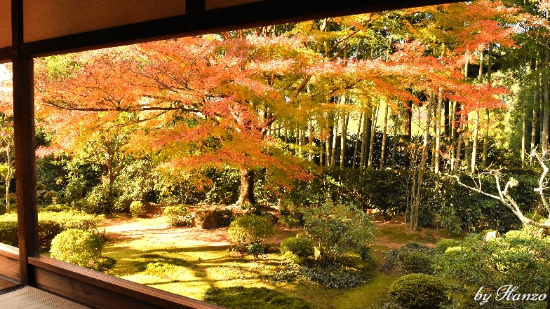 額縁庭園で有名な宝泉院の庭園 盤桓園 はまさに立ち去りがたし風景です Kyoto Ohara Hosenin ライフジムにようこそ