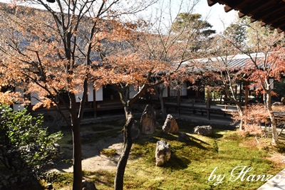 f:id:Hanzolifegym:20191214085302j:plain f:id:Hanzolifegym:20191214085302j:plain