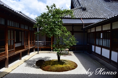f:id:Hanzolifegym:20191214172711j:plain f:id:Hanzolifegym:20191214172711j:plain