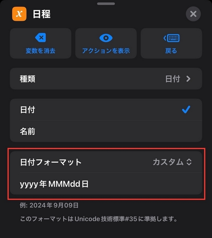日程変数の日付フォーマットの画像