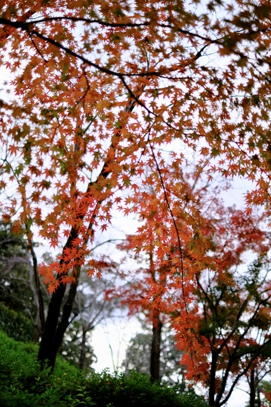 f:id:HappyBox:20191125160621j:plain