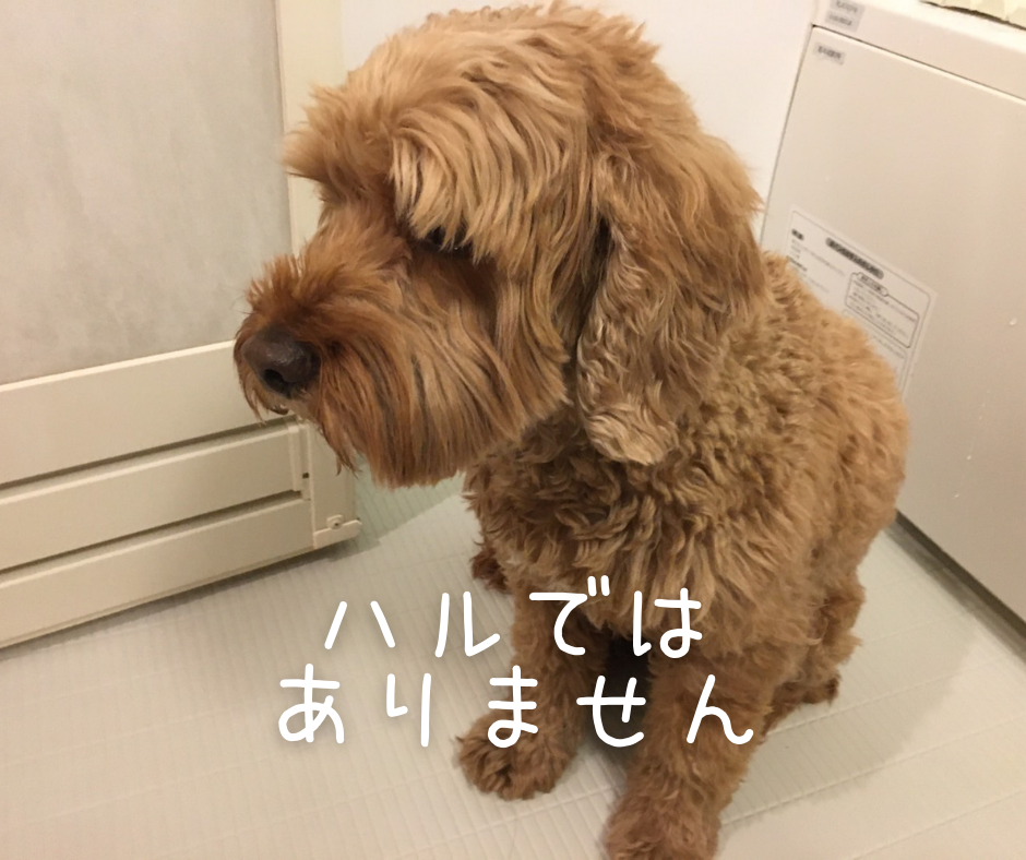 f:id:HappyDory:20220404163220p:plain