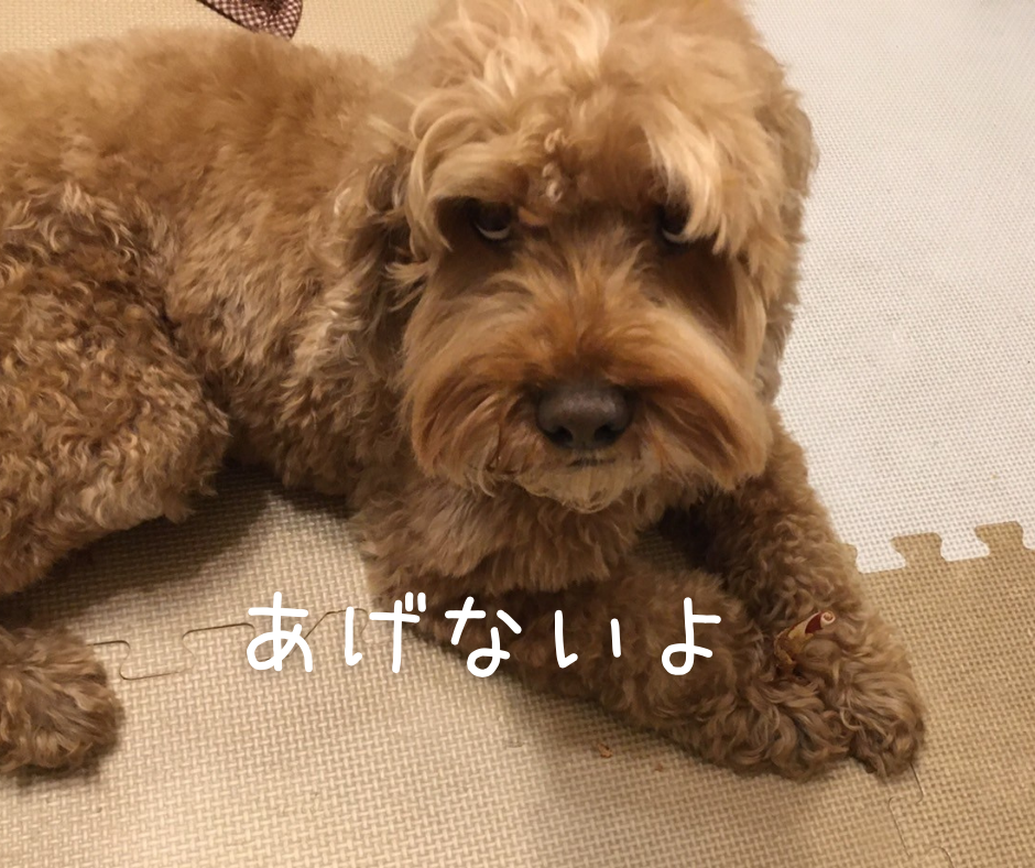f:id:HappyDory:20220404163550p:plain