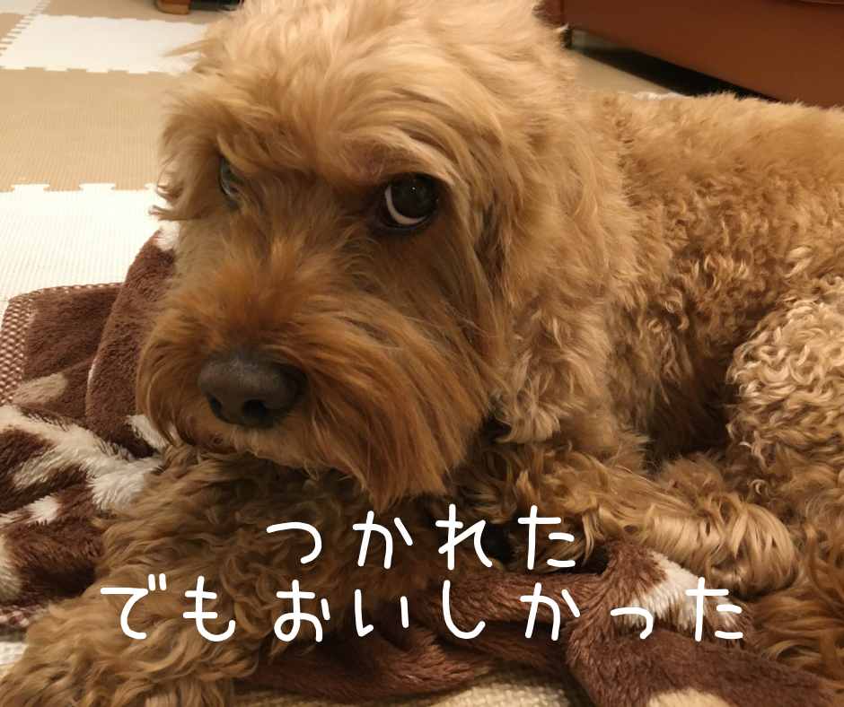 f:id:HappyDory:20220404164621p:plain
